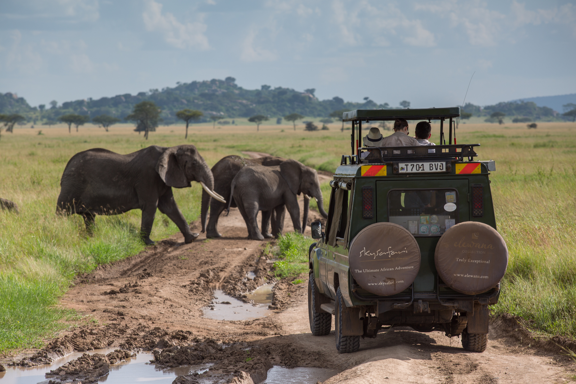 SerengetiPioneer – Game Drives (c) Silverless