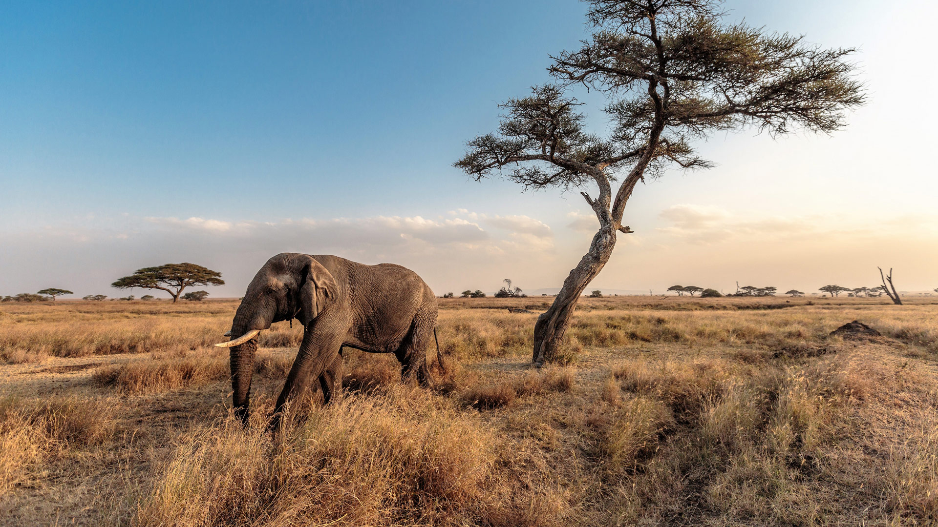 A Family Adventure Through Tanzania & Zanzibar